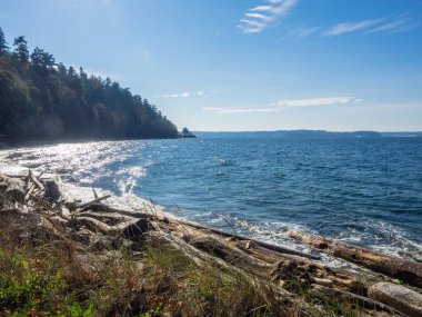 Lincoln Park, Batı Seattle 'da Fauntleroy Yolu S.W. ve Puget Sound 'da. Seattle 'ın en büyük parklarından biri, plaj boyunca uzanan asfalt yol, tenis kortları, beyzbol sahaları, piknik sığınakları ve bir de