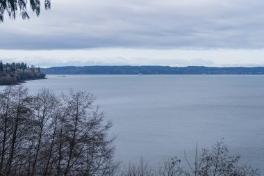 Howarth Park, Everett. Everett Rıhtımı 'nda 28 dönümlük, üç bitkin park. Yürümek ya da plajın ve bolca vahşi yaşamın tadını çıkarmak için harika bir yer..