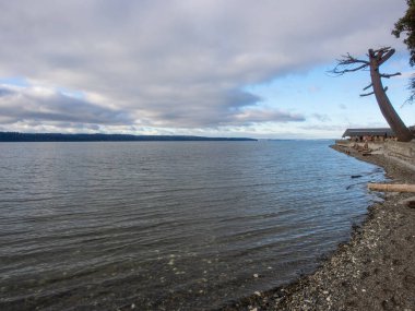 Cama Beach State Park, Washington, Island County 'deki Camano Adası' nın güneybatı kıyısında Saratoga Geçidi 'ne bakan bir dinlenme alanıdır. Eyalet parkı yenilenmiş, modernize edilmiş 1930 'lu yılların otomobil mahkemesi ve balıkçılık merkezi.