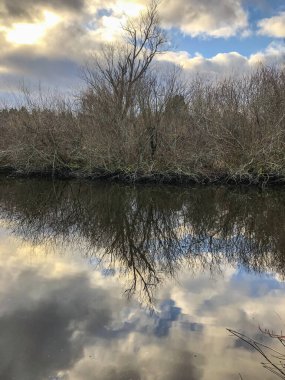 Mercer Slough Doğa Parkı 320 dönümlük sulu bir arazidir. Eğreltiotları, çalıları, çiçekleri, çeşitli meyveleri, farklı ahşap kaldırımları ve gölgeli yolları vardır..
