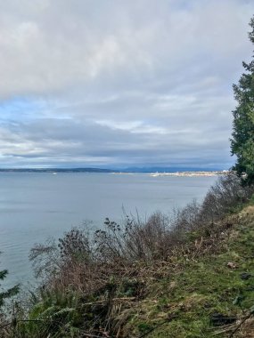 Howarth Park, Everett. Everett Rıhtımı 'nda 28 dönümlük, üç bitkin park. Yürümek ya da plajın ve bolca vahşi yaşamın tadını çıkarmak için harika bir yer..