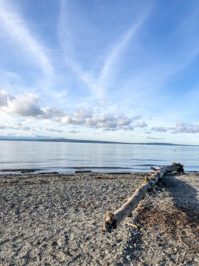 Carkeek Park, Washington eyaletinin Broadview semtinde yer alan 216 dönümlük bir parktır. Park Piper Orchard, Pipers Creek (ve onun kolları Venema Creek ve Mohlendorf Creek), oyun ve piknik alanları, piknik barınakları ve