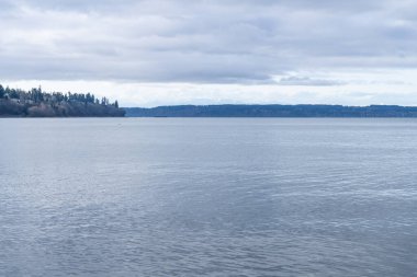 Howarth Park, Everett. Everett Rıhtımı 'nda 28 dönümlük, üç bitkin park. Yürümek ya da plajın ve bolca vahşi yaşamın tadını çıkarmak için harika bir yer..