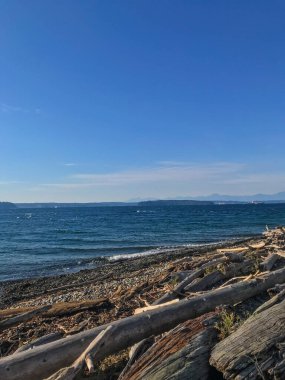 Lincoln Park, Batı Seattle 'da Fauntleroy Yolu S.W. ve Puget Sound 'da. Seattle 'ın en büyük parklarından biri, plaj boyunca uzanan asfalt yol, tenis kortları, beyzbol sahaları, piknik sığınakları ve bir de