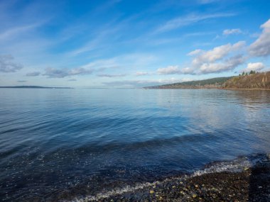 Carkeek Park, Washington eyaletinin Broadview semtinde yer alan 216 dönümlük bir parktır. Park Piper Orchard, Pipers Creek (ve onun kolları Venema Creek ve Mohlendorf Creek), oyun ve piknik alanları, piknik barınakları ve