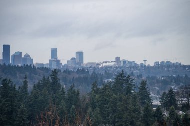 Seattle Bulutlu Ufuk Çizgisi Kış Günü.