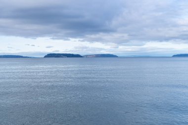 Howarth Park, Everett. Everett Rıhtımı 'nda 28 dönümlük, üç bitkin park. Yürümek ya da plajın ve bolca vahşi yaşamın tadını çıkarmak için harika bir yer..