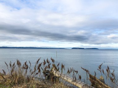 Howarth Park, Everett. Everett Rıhtımı 'nda 28 dönümlük, üç bitkin park. Yürümek ya da plajın ve bolca vahşi yaşamın tadını çıkarmak için harika bir yer..