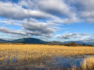 Samish Birimi, Skagit ilçesinin kuzeybatısındaki Padilla Körfezi 'ne komşu tarım arazileri ve sulak alanlardan oluşmaktadır. Bu yiyecek kaynaklarını geliştirmek için arpa, mısır ve bakla ekilen popüler bir su kuşu avı ve vahşi yaşam izleme sahası.