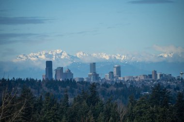 Güneşli kış sabahında Seattle ufuk çizgisi manzarası.