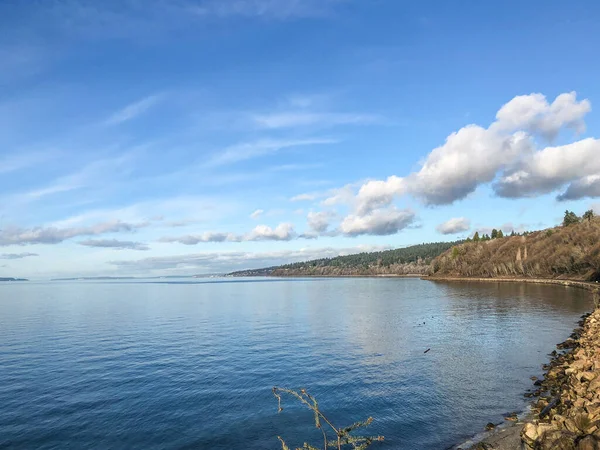 Carkeek Park Washington Eyaletinin Broadview Semtinde Yer Alan 216 Dönümlük — Stok fotoğraf