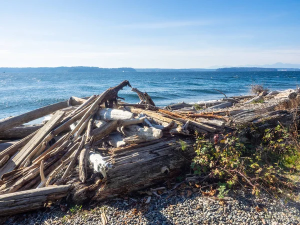 Lincoln Park Ist Ein Km2 Großer Park West Seattle Zwischen — Stockfoto