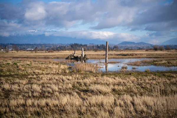 Unité Samish Comprend Des Champs Agricoles Des Terres Humides Situés — Photo