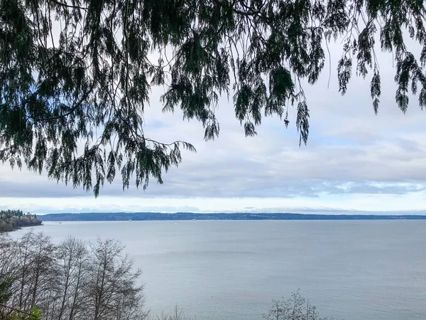 Howarth Park Everett Parque Hectares Três Cansados Everett Waterfront Ótimo — Fotografia de Stock