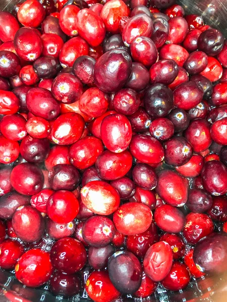 Cranberries Group Evergreen Dwarf Shrubs Trailing Vines Subgenus Oxycoccus Genus — Stock Photo, Image