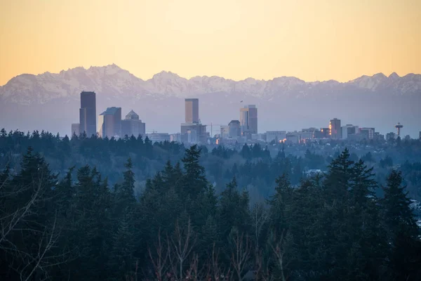 阳光明媚的冬日 西雅图的地平线 — 图库照片