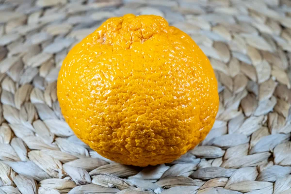 Dekopon Seedless Sweet Variety Mandarin Orange — Stock Photo, Image