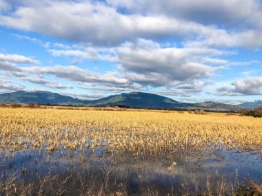 Samish Birimi, Skagit ilçesinin kuzeybatısındaki Padilla Körfezi 'ne komşu tarım arazileri ve sulak alanlardan oluşmaktadır. Bu popüler bir su kuşu avı ve yabani hayatı izleme sitesi. Arpa, mısır ve bakla ekili.