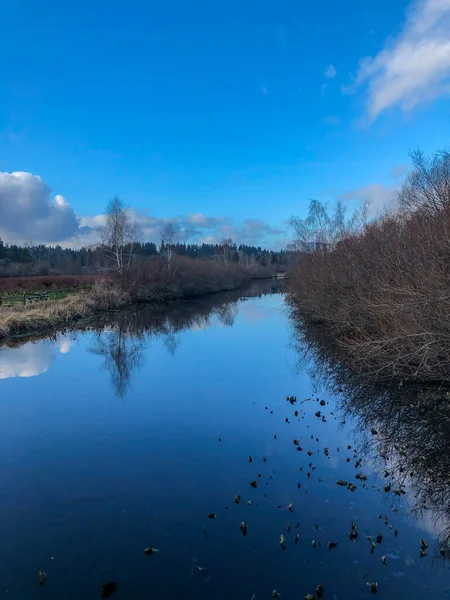Mercer Slough Nature Park Een 320 Hectare Weelderig Wetland Bevolkt — Stockfoto