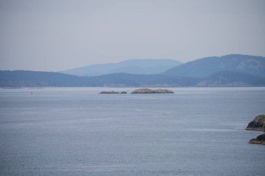 Rosario Plajı, Aldatma Geçidi Eyalet Parkı 'nın Fidalgo Adası parkına düşüyor. Aslında iki kumsal seti, bir yarımadanın her iki tarafında, Rosario Sahili parkın sunabileceği en iyi örnektir. Burada gel-git havuzları var, geniş. 