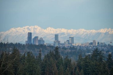 Seattle silueti ve Olimpiyat Dağları sabah arkaplanında.