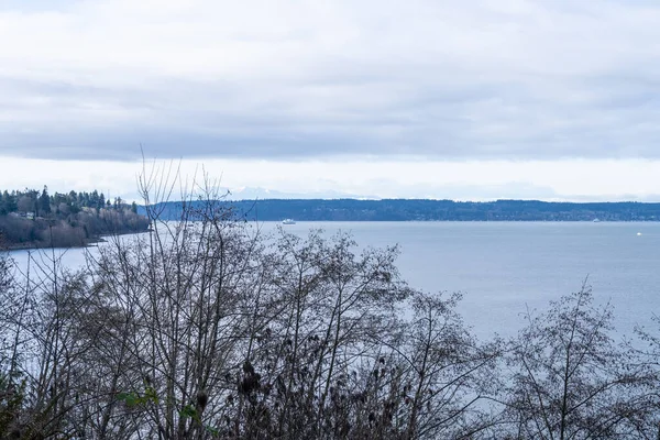 Howarth Park Everett Parque Hectares Três Cansados Everett Waterfront Ótimo — Fotografia de Stock