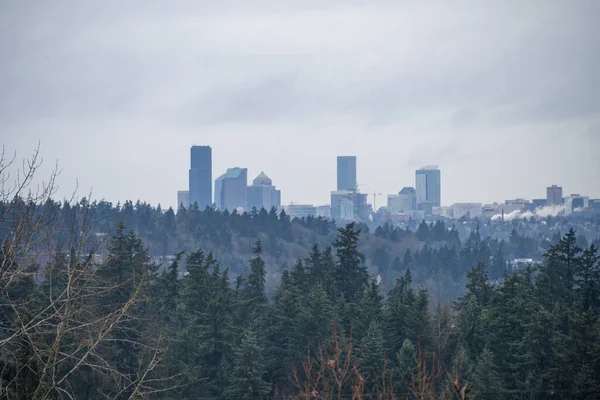Vista Del Horizonte Nublado Seattle Día Invierno — Foto de Stock