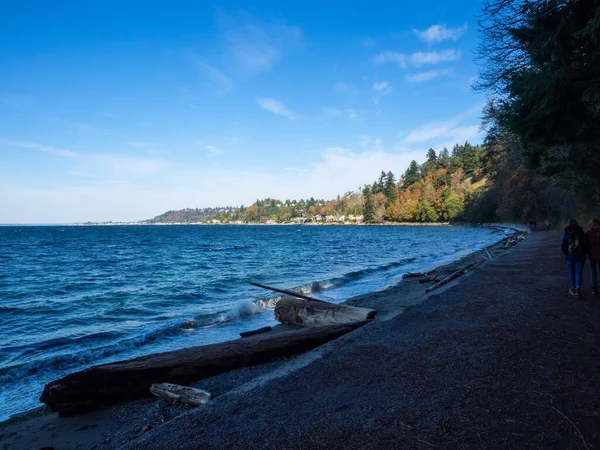 Lincoln Park 135 Hektar Km2 Park Västra Seattle Mellan Fauntleroy — Stockfoto