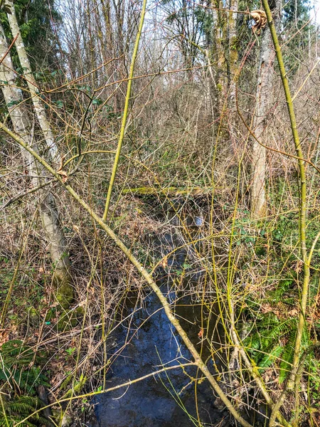 Lake Boren Park is a popular community park that is situated near the Coal Creek Parkway. It is a park that gives the opportunity for family recreation, quiet and pleasant retreat near the lake.