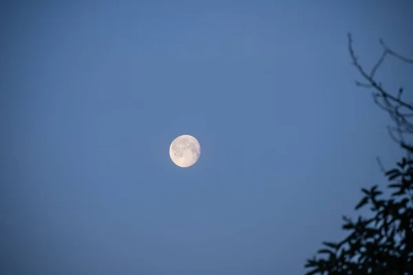 Marchs Full Moon Chama Worm Moon Que Originalmente Pensava Referir — Fotografia de Stock