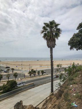 Palisades Park, Santa Monica, Kaliforniya 'da bulunan 26.4 dönümlük bir parktır. Park, Ocean Bulvarı 'nın 1.6 mil (2.6 km) boyunca yükseltilmemiş bir tortul sahil terası üzerinde yer almaktadır. 
