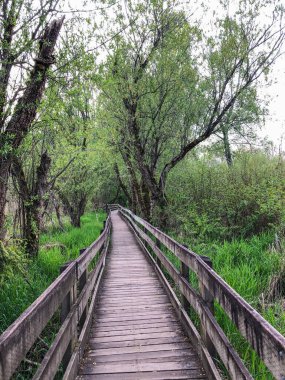 Washington, Redmond 'daki Sammamish Gölü' nün kuzey ucunda yer alan Marymoor Park, King County 'nin en büyük, en eski ve en popüler parkıdır ve 3 milyondan fazla ziyaretçi 640 dönümlük (2,6 km2) arazisini gezmeye gelmektedir.