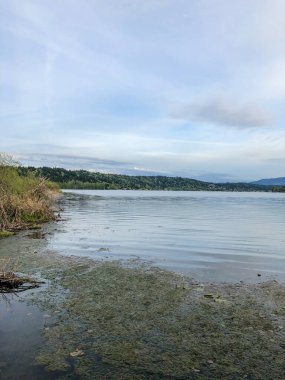 Washington, Redmond 'daki Sammamish Gölü' nün kuzey ucunda yer alan Marymoor Park, King County 'nin en büyük, en eski ve en popüler parkıdır ve 3 milyondan fazla ziyaretçi 640 dönümlük (2,6 km2) arazisini gezmeye gelmektedir.