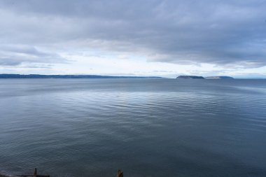 Howarth Park, Everett. Everett Rıhtımı 'nda 28 dönümlük, üç bitkin park. Yürümek ya da plajın ve bolca vahşi yaşamın tadını çıkarmak için harika bir yer..