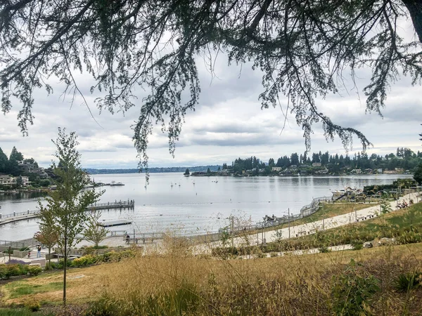 Meydenbauer Bay Park Bellevue Ist Jetzt Für Die Öffentlichkeit Zugänglich — Stockfoto