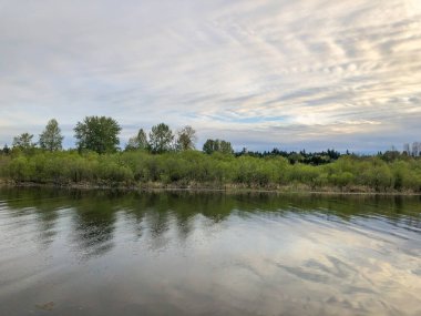 Washington, Redmond 'daki Sammamish Gölü' nün kuzey ucunda yer alan Marymoor Park, King County 'nin en büyük, en eski ve en popüler parkıdır ve 3 milyondan fazla ziyaretçi 640 dönümlük (2,6 km2) arazisini gezmeye gelmektedir.