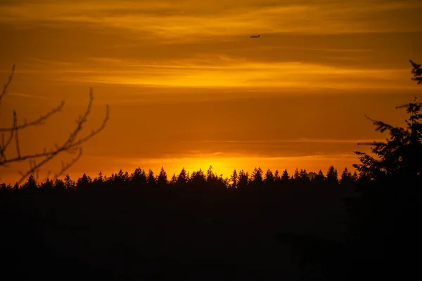 Factoria Durante Puesta Del Sol Día Soleado — Foto de Stock