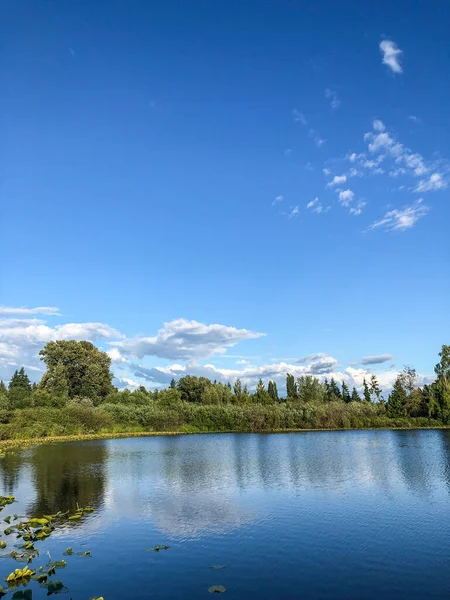 Larsen Lake Blueberry Farm Est Endroit Idéal Pour Cueillir Vos — Photo