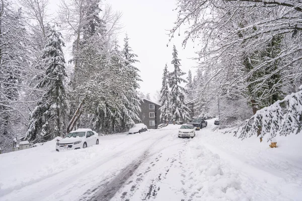 Śnieżny Dzień Lutym Bellevue — Zdjęcie stockowe