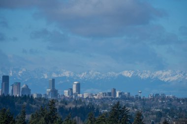 Güneşli kış gününde Seattle ufuk çizgisi.