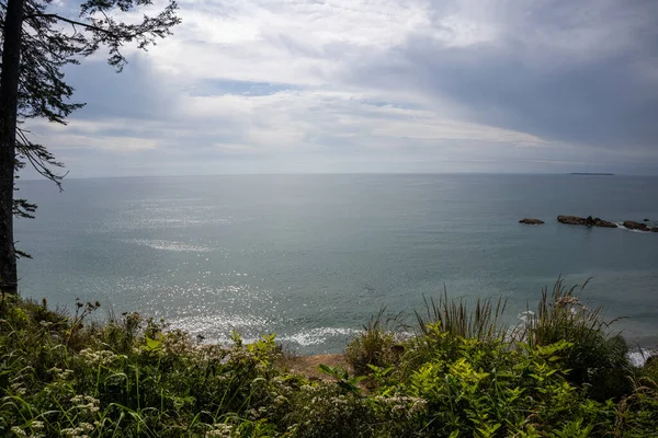 Kalaloch Beach Uno Los Mejores Lugares Del Parque Nacional Olímpico —  Fotos de Stock