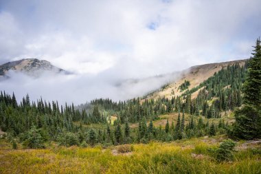 Ridge Kasırgası, Washington Olimpiyat Ulusal Parkı 'nda dağlık bir bölgedir. Port Angeles 'tan yaklaşık 18 mil (29 km) uzaklıktaki dağ yamacı, yürüyüş, kayak ve snowboard sporlarına açıktır ve ulusal parkın en çok ziyaret edilen iki alanından biridir.
