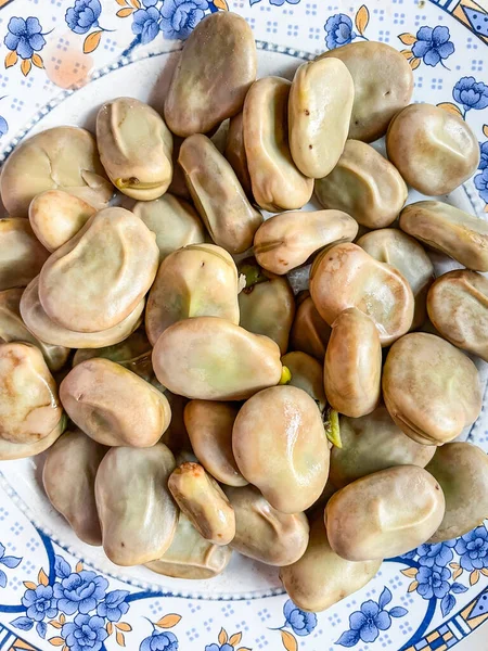 Fava Bønne Vicia Faba Art Blomstrende Plante Vikke Ærte Familien - Stock-foto