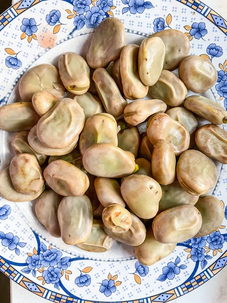 Fava Bean Vicia Faba Species Flowering Plant Vetch Pea Family — Stock Photo, Image