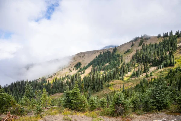 Hurricane Ridge Uma Área Montanhosa Parque Nacional Olímpico Washington Cerca — Fotografia de Stock