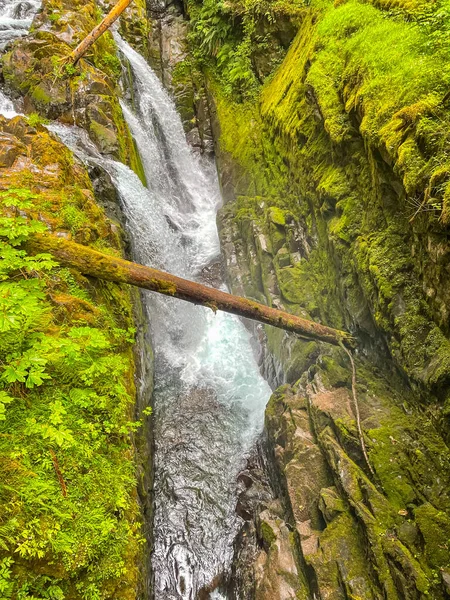 Sol Duc Falls Στο Sol Duc Valley Ονομάζονται Πιο Όμορφες — Φωτογραφία Αρχείου