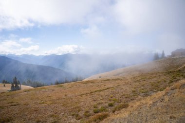 Ridge Kasırgası, Washington Olimpiyat Ulusal Parkı 'nda dağlık bir bölgedir. Port Angeles 'tan yaklaşık 18 mil (29 km) uzaklıktaki dağ yamacı, yürüyüş, kayak ve snowboard sporlarına açıktır ve ulusal parkın en çok ziyaret edilen iki alanından biridir.