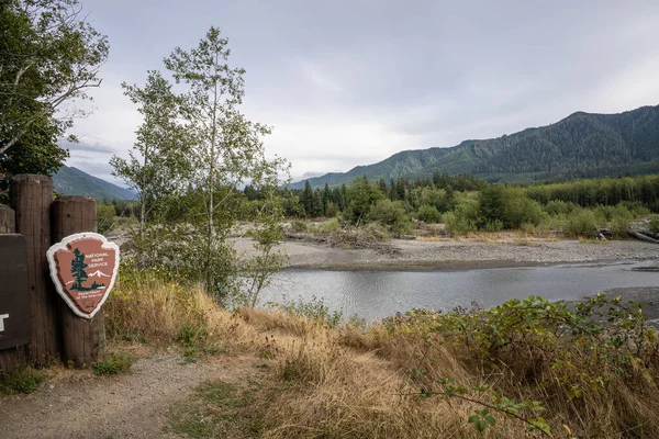 Hoh Rainforest Está Localizado Península Olímpica Noroeste Pacífico Ele Está — Fotografia de Stock