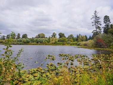 Larsen Gölü Yabanmersini Çiftliği büyük bir çiftlik / park alanında kendi yaban mersinlerini toplamak için harika bir yer. Greenbelt Gölü, ormanları, sulak alanları, dereleri ve gölleri kapsayan 150 dönümden fazla doğal yaşam alanını kapsayan bir sulak arazi koridorudur.