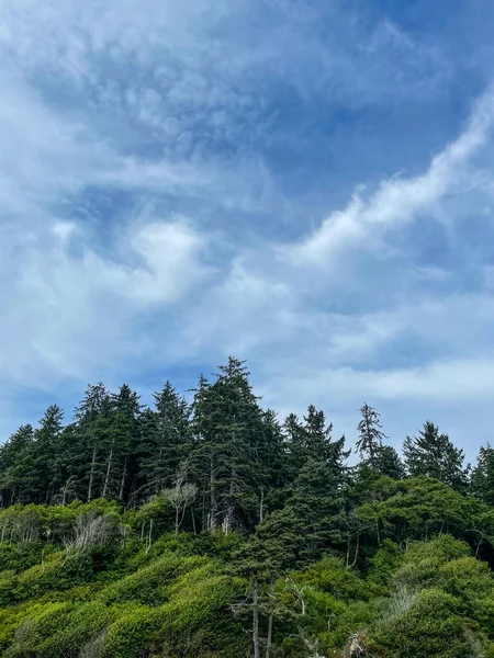 Ruby Beach, ABD 'nin Washington eyaletindeki Olympic National Park' ın kıyı kesiminin en kuzeyindeki plajdır. Forks kasabasının 27 mil güneyinde, Jefferson County 'de 101. Otoyol' da yer almaktadır..